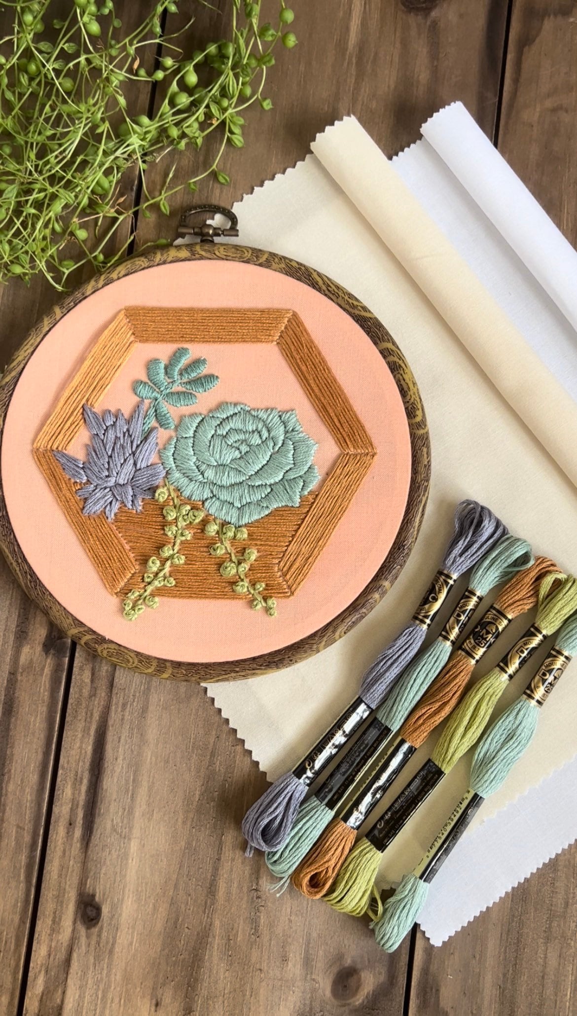 Succulent Wall Terrarium | Embroidery Kit