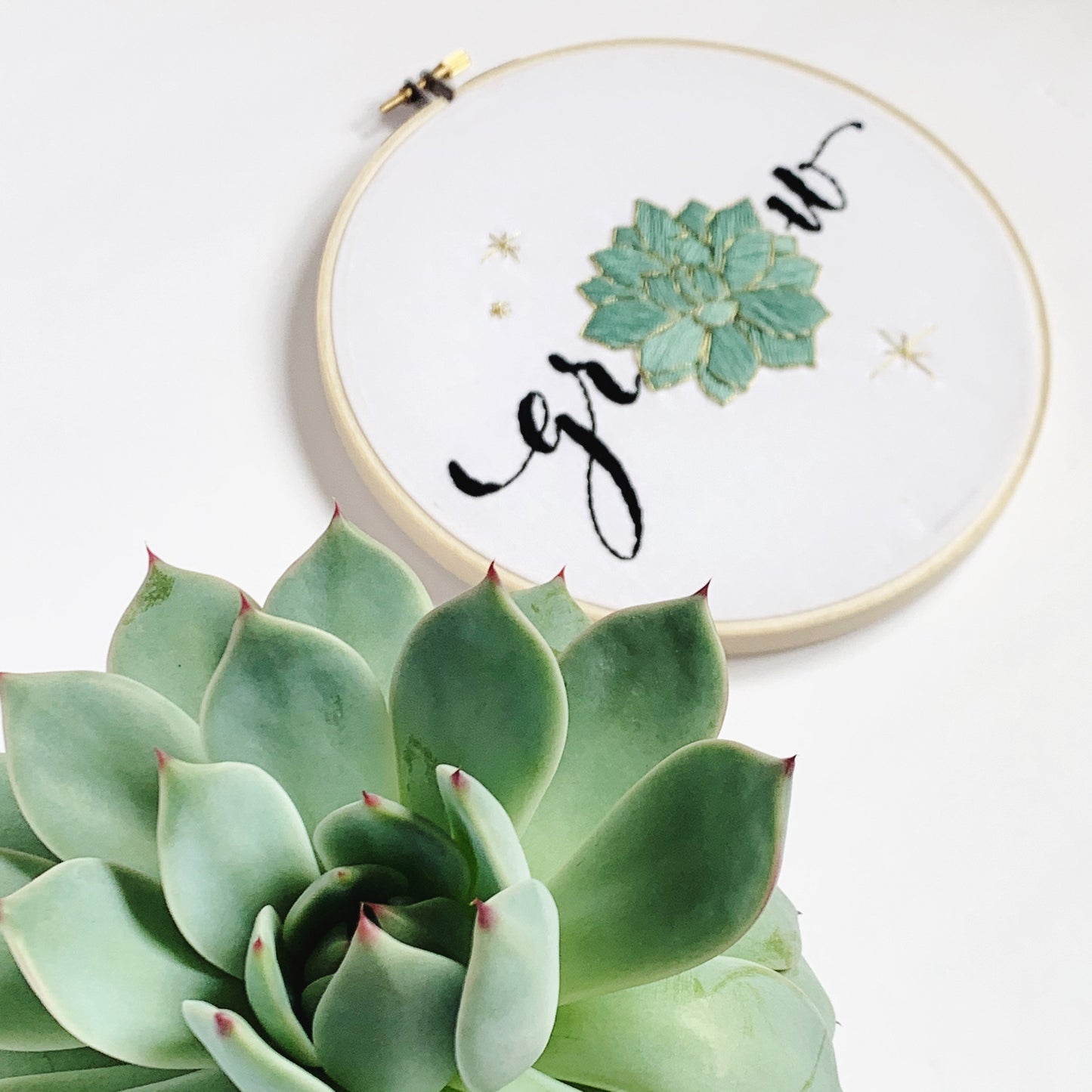 Grow Succulent Embroidery Kit