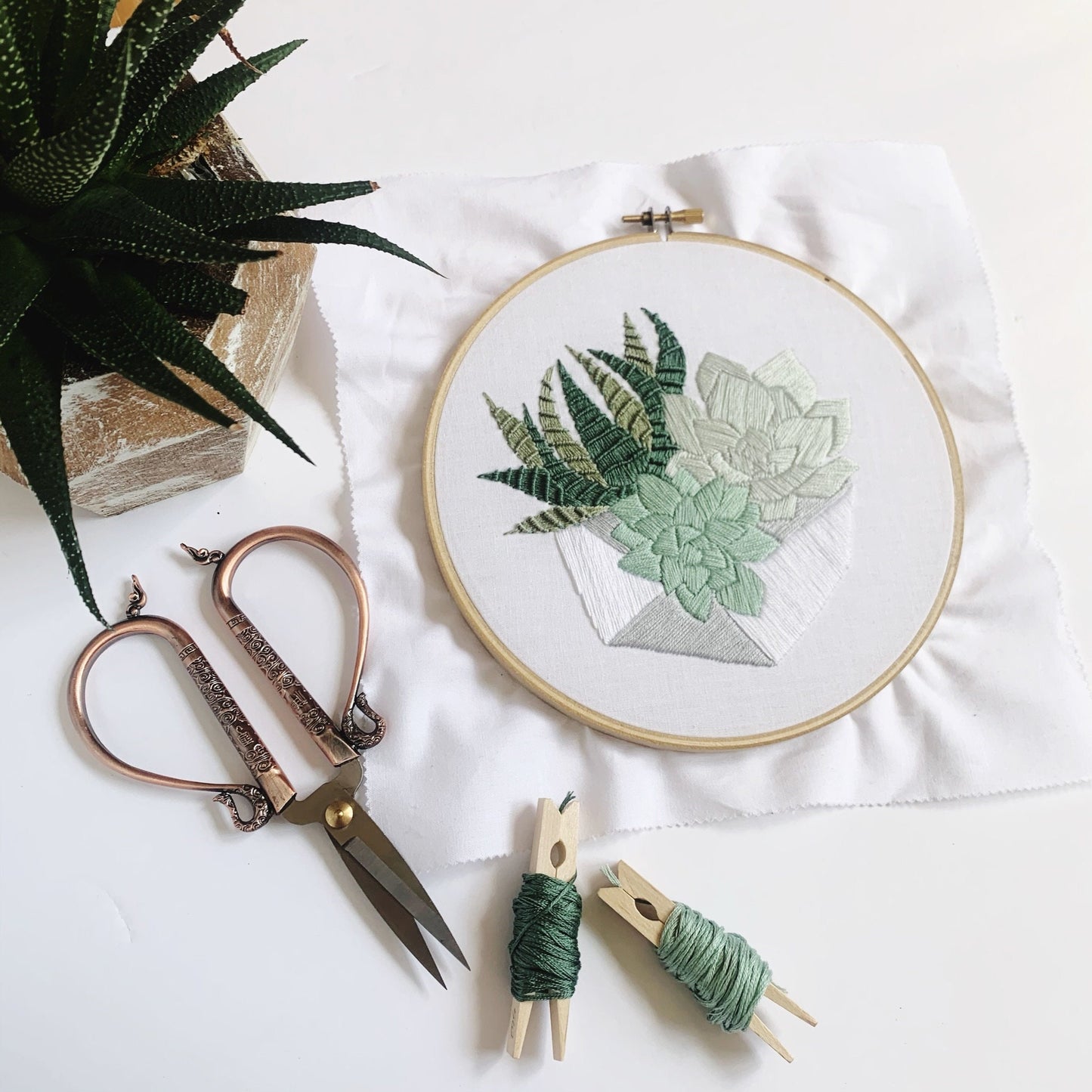 Succulent Terrarium | Modern Embroidery | Digital Download | PDF