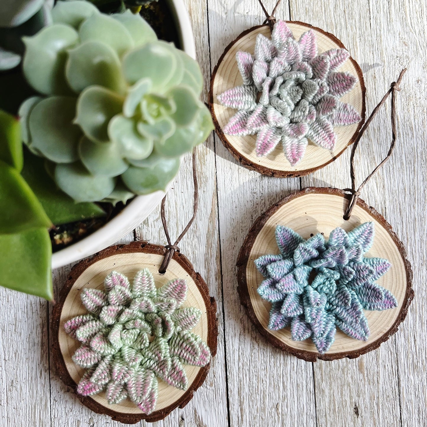 Wood Slice Ornament | 3D Embroidery | 3D Succulent Ornament